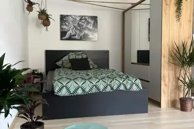 Image de The Saar Jungle Design Apartment im Herzen von Saarbrücken
