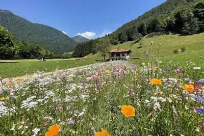 Image de Natural Chalet, Alpine experience between Grada and the Dolomites