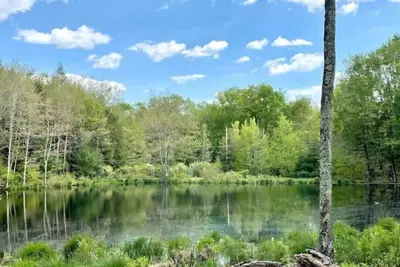 Image de Sweet Suite Tiny House w/ Zen Vibes on Quiet Lake
