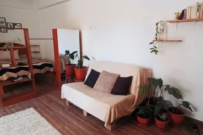 Image de Casa bonita con diseño moderno y un toque rústico & jardín