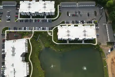 Image de Remote work peacefully