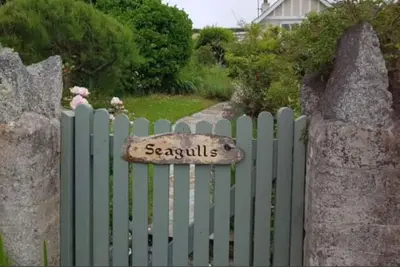 Image de Seagulls Porthcothan Bay  only - 300 yards from the beach.
