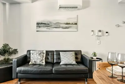 Image de Tulip - The Urban Elegance