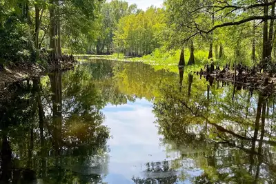 Image de Vintage Old Florida Cottage on Dead Boat Cove, Boat and Dog friendly!