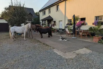 Image de Cozy vacation apartment on Hellwiges Hof with dog\/horse Medebach \/ Sauerland