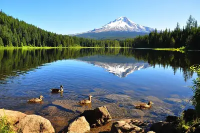 Image de Heavenly Forested Mountain Retreat, Next to Golf Course, Hot Tub, Ping Pong, 12 Miles to Gov Camp