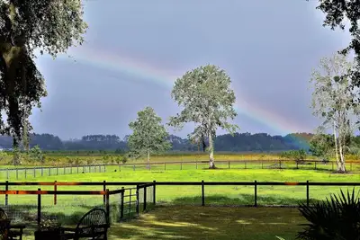 Image de Lakefront Privacy, Inviting Home on Unique Country Property, Minutes to DeLand