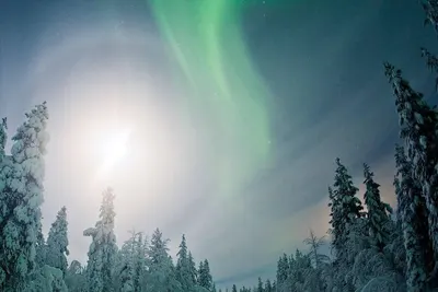 Image de Cozy House! Located near to Arctic Circle and Santa Claus. See Northern Lights❤️