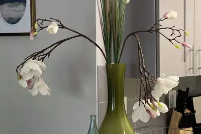 Image de Lenox Local Love Bungalow