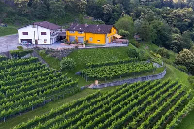 Image de Loft Scarpa surrounded by greenery