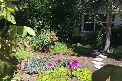 Image de Private and peaceful one bedroom cottage Menlo Park California near 3 hospitals