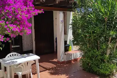 Image de 350 mt from Campus, small bungalow with outdoor space surrounded by greenery.