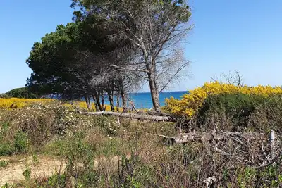 Image de Le temps d'une île en Tout Compris