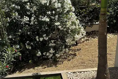 Image de O’ vue mer sur jardin