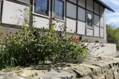 Image de GemĂĽtliches Fachwerkhaus im Kalletal