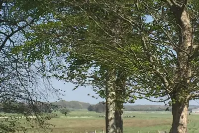 Image de Hyggelig Lejlighed ved Kongeåen - 12 km fra Danmarks Ældste by Ribe