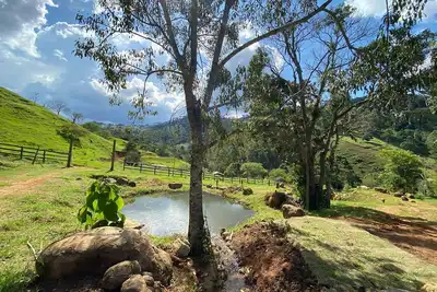 Image de Vale das Pedras- Chalé Araucária, Hidro, Lareira, Fogueira- Sapucaí Mirim-mg