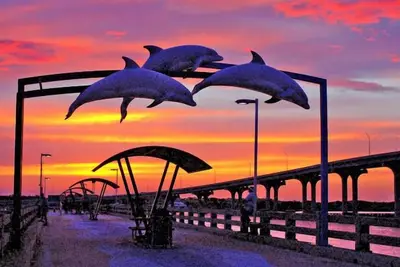 Image de Quaint Peaceful Area! Close to Everything in St. Augustine!