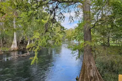 Image de The Tipsy Turtle located on Ichetucknee River!