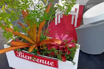 Image de Homerez - Bungalow à Sainte-Rose