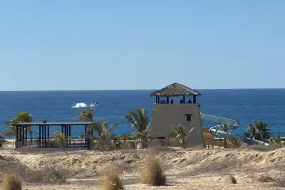Image de Experience Majestic Whale Watching from Your Amazing Resort in Los Cabos