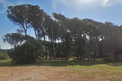 Image de Meer, Kultur und Gutes Essen im Casa San Francesco in Paestum
