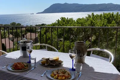 Image de [Les 2 frères] Vue mer panoramique + solarium + piscines + clim