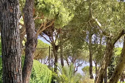 Image de Casita Rural con Amplio JardĂn Soleado