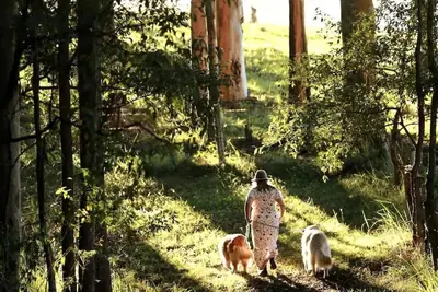 Image de Misty Valley Cabin\nPet Friendly Getaway