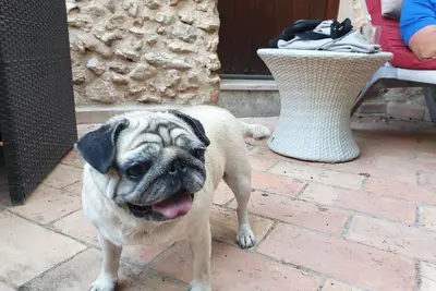Image de La Casita - La Siesta Cap Blanc