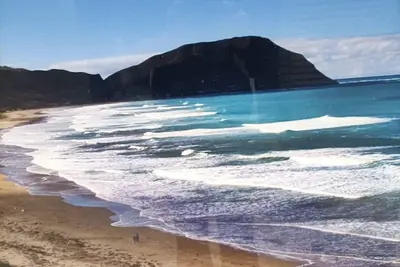 Image de Iconic Wainui Beach a 100m stroll. Relax in Tropical type surroundings.