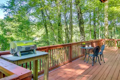 Image de Hendersonville Creekside Cabin: Near DuPont Forest