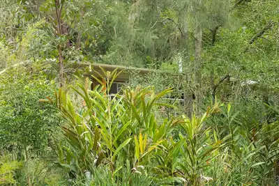 Image de Bushland Retreat beside a beautiful lake - big  eco house with 4 large bedrooms.