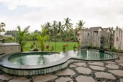 Image de Private Pool Villa with Rice Paddy View at Ubud