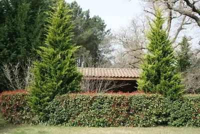 Image de Villa et piscine en pleine nature - Domaine Temali