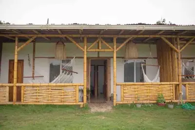 Image de Private New 2bd/1Bath Bungalow on Lush Green Land