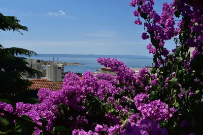 Image de Appartements Good (97471-A1) - Makarska