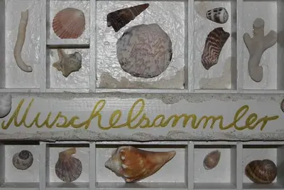 Image de Ferienwohnung Nr. 06 Muschelsammler, Og, 39qm, 1 Schlafzimmer, Max. 2 Personen