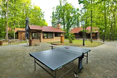 Image de Superbe maison Ă Gustelnica avec sauna