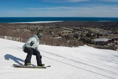Image de Minutes from Blue Mountain! Enjoy your 3 level, family friendly winter retreat!