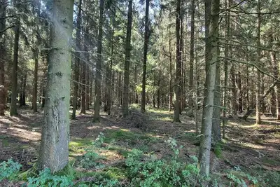 Image de Ferienwohnung am Steinwald Radweg