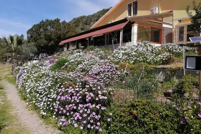 Image de Maison de vacances 'Il Lentischio - Rosmarino' à Cala Lunga à 200 mètres de la mer