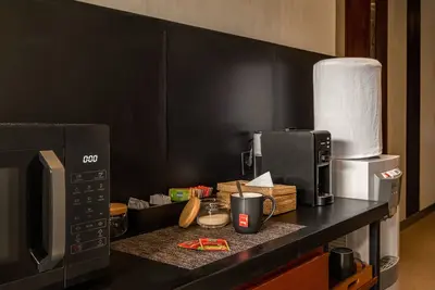 Image de Experience the perfect blend of natural elements and modern design in this room
