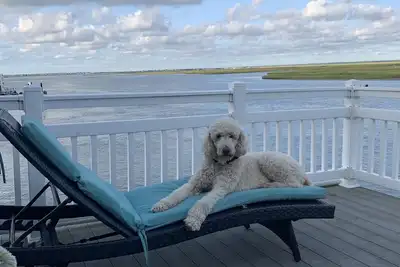 Image de Bay, Dock, Dog friendly Home. Short walk to the beach!