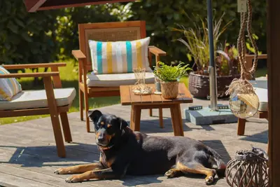 Image de Kiek in - Strandnah, Kamin, Terrasse, Waschmaschine