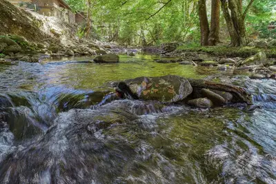 Image de Creek Heaven on Cosby Creek