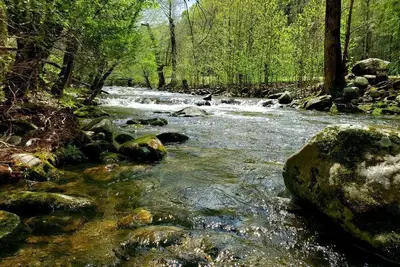 Elk Run is a beautiful, two bedroom cabin situated directly on Cosby Creek.