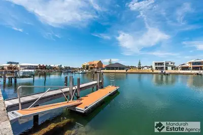 Image de Canal lifestyle - dolphins, swans and sunshine