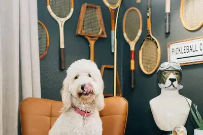 Image de Pets + Pickleball! with a Private Backyard Pickleball Court [Sleeps 10]