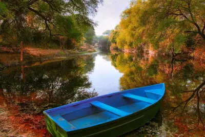 Image de At only minutes from Central Florida Research Park and Quadrangle Office Park